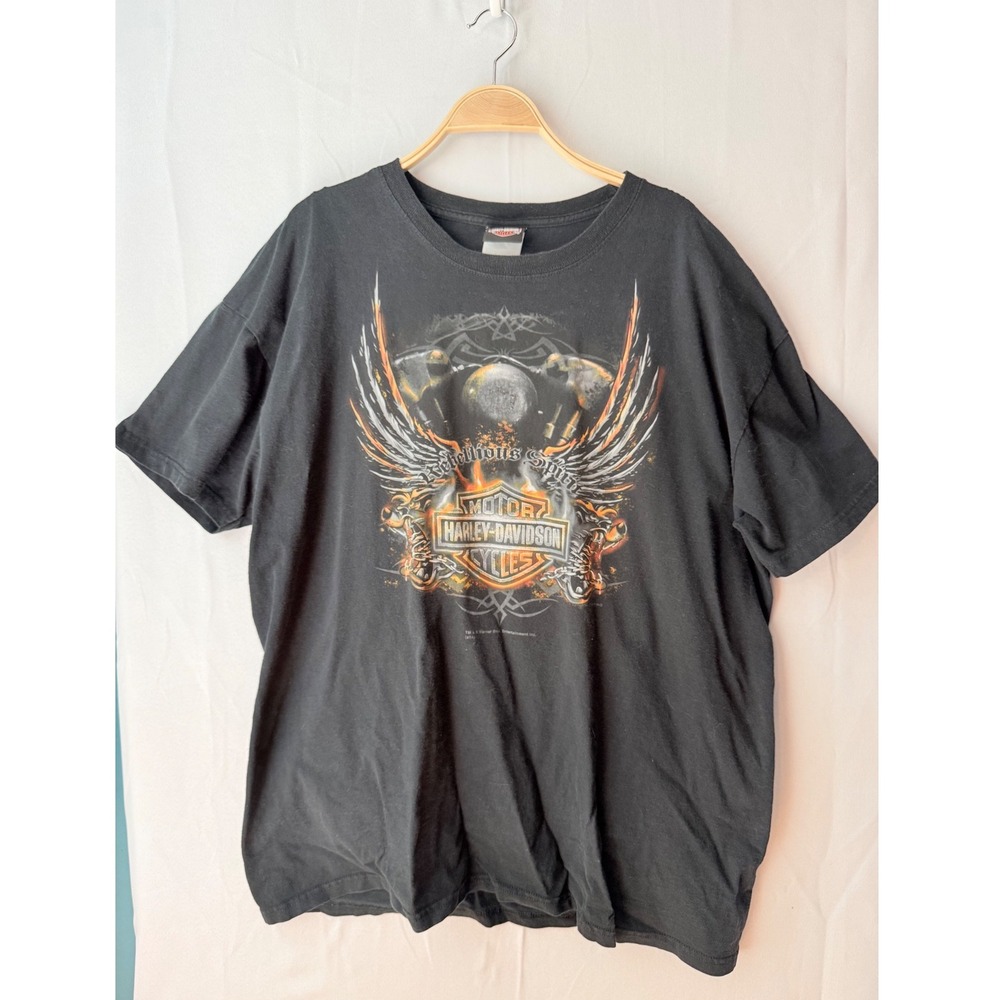 Harley-Davidson T-Shirt Mens 2XL Black Looney Tunes Frontier Nebraska Taz Bugs